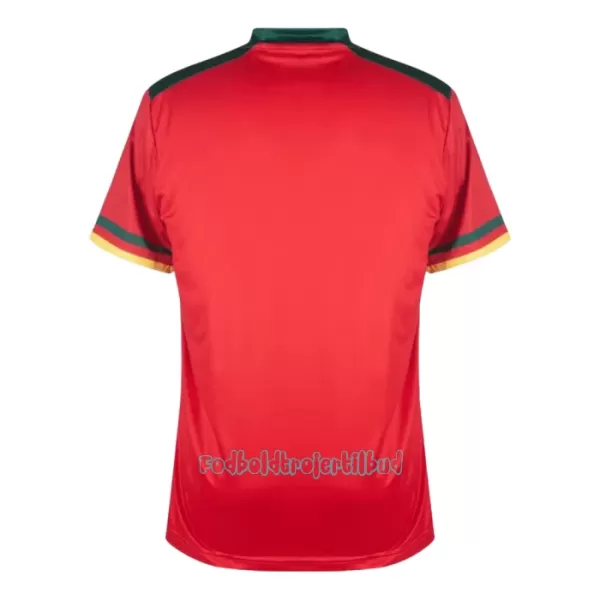 Cameroun 3. trøje VM 2022