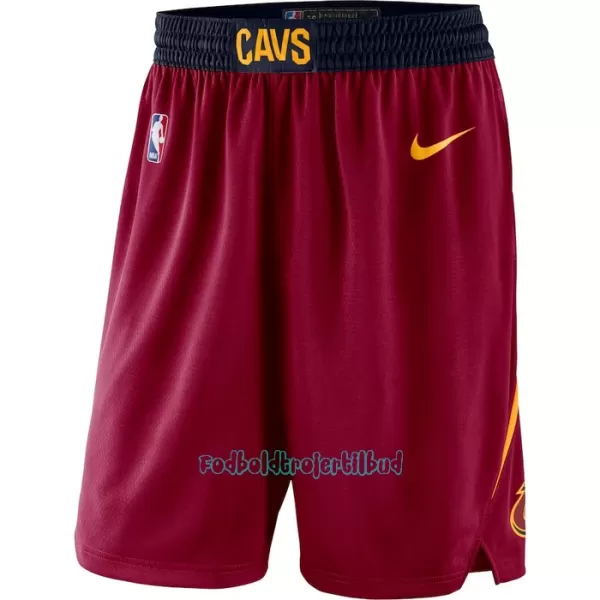 Cleveland Cavaliers NBA Shorts Icon Edition Swingman