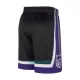 Sacramento Kings NBA Shorts Icon Edition Swingman Sort